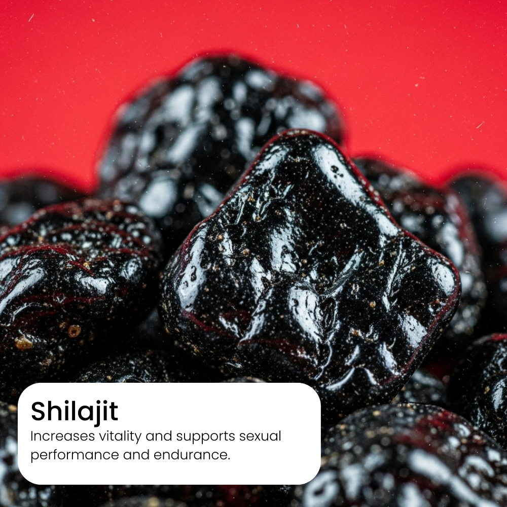 Genuine Shilajit Honey